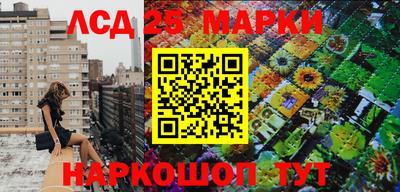 сатива Лесосибирск