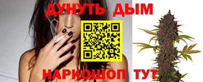 сатива Лесосибирск