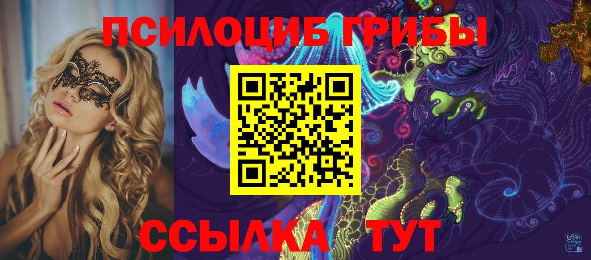 Бугуруслан  Галлюциногенные грибы Cubensis  Вход с VPN 